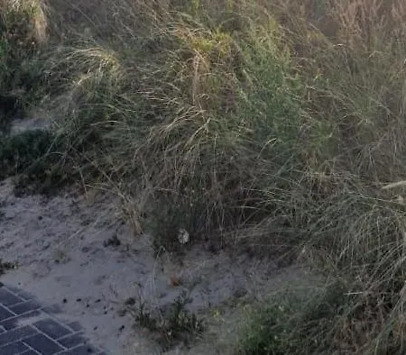 Lägenhet Beachhouse Jula *